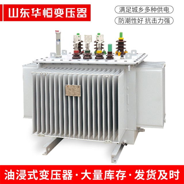 S13-10000/35新源新源新源电力变压器